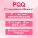 pqq-supplement-20mg-pyrroloquinoline-qui-4.jpg