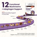 vev-mushroom-gummies-for-adults---12x-mu-4.jpg