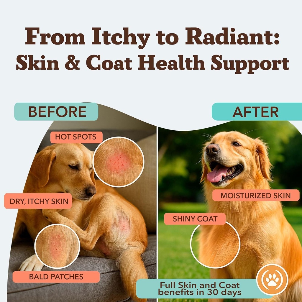 natural-dog-company-skin-coat-supplement-2.jpg