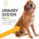 maxxipaws-maxxiutract-urinary-bladder-su-4.jpg