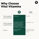 vital-vitamins-chlorophyll-pills---body--6.jpg