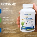 natural-cure-labs-bundle-clean-l-lysine--2.jpg