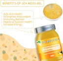 sea-moss-gelirish-sea-moss-raw-organicse-4.jpg