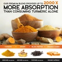 turmeric-curcumin-supplement-2600mg---wi-3.jpg