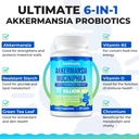 akkermansia-probiotic-glp-1-live-strain--4.jpg