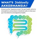 akkermansia-probiotic-glp-1-live-strain--6.jpg