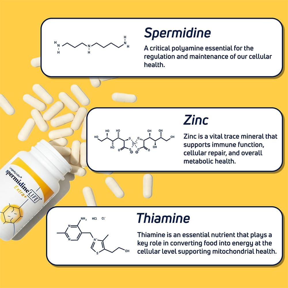 longevity-labs-spermidinelife-natural-su-2.jpg