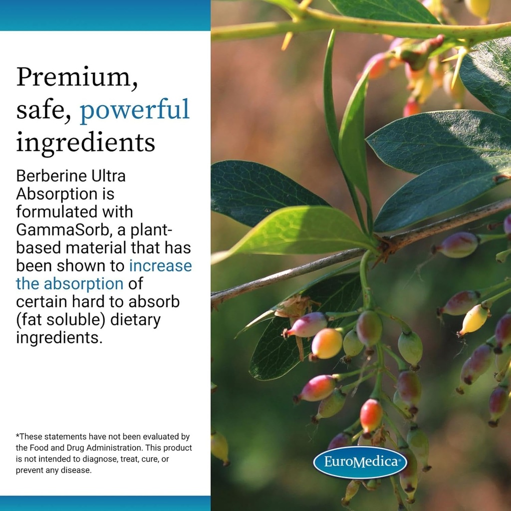 euromedica-ultra-absorption---brain-live-5.jpg
