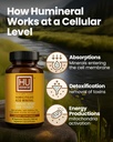 humic-fulvic-acid-supplement-capsules-or-3.jpg