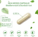 organic-sea-moss-capsules-with-bladderwr-2.jpg