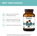himalaya-guggul---herbal-liver-support-f-3.jpg