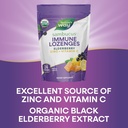 natures-way-sambucus-immune-lozenges-zin-5.jpg