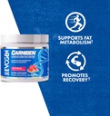 evogen-carnigen---premium-carnitine-powd-2.jpg
