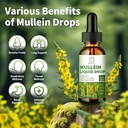 mullein-drops-for-lungs-16-in-1-mullein--2.jpg