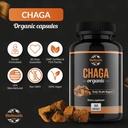 chaga-capsules-organic-supplement-suppor-2.jpg