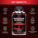 effective-nutra-berberine-gummies-with-c-2.jpg
