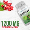 doctor-recommended-supplements-berberine-3.jpg