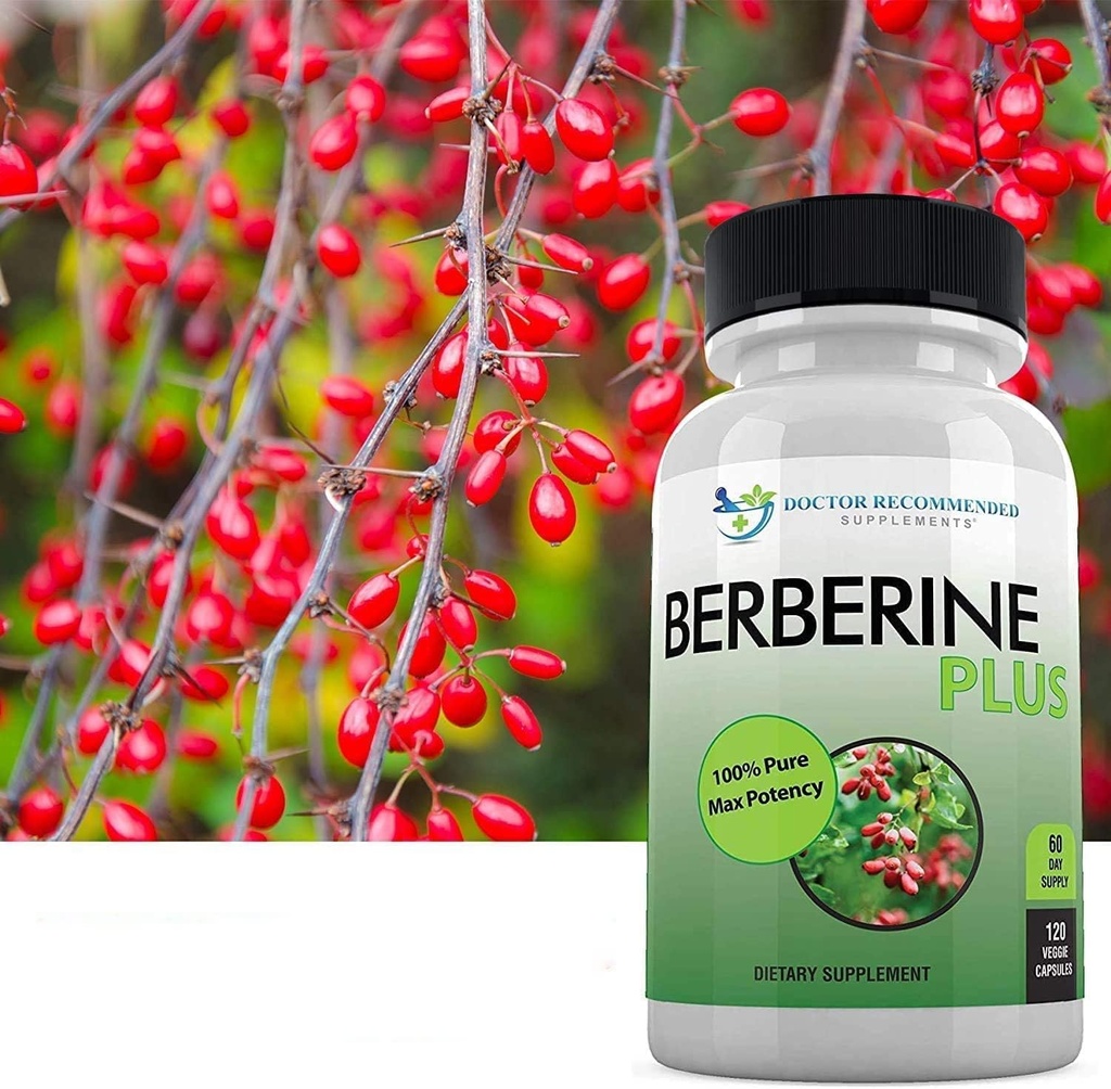 doctor-recommended-supplements-berberine-4.jpg
