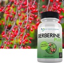 doctor-recommended-supplements-berberine-4.jpg