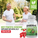 doctor-recommended-supplements-berberine-5.jpg