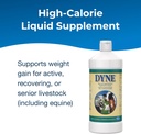 petag-dyne-high-calorie-liquid-nutrition-2.jpg
