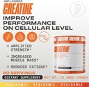 performix---creatine-monohydrate---5000--2.jpg