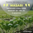organic-wasabi-extract-zingserine-cognit-4.jpg