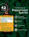 herb-pharm-peppermint-spirits-organic-1--2.jpg