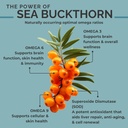 seabuckwonders-sea-buckthorn-seed-oil-ma-3.jpg