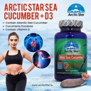 arctic-star---sea-cucumber-with-vitamin--4.jpg