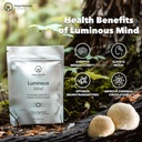 adapt-naturals-luminous-mind-nootropic-b-4.jpg