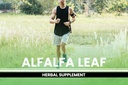 pure-original-ingredients-alfalfa-leaf-3-5.jpg