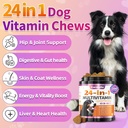 dog-vitamins-24-in-1-dog-vitamins-and-su-2.jpg