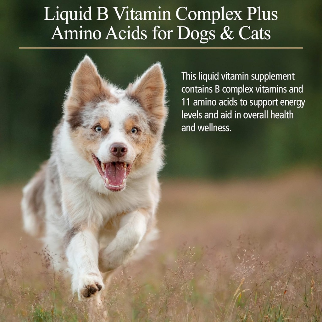 rx-vitamins-amino-b-plex-for-pets---b-vi-2.jpg