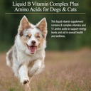 rx-vitamins-amino-b-plex-for-pets---b-vi-2.jpg