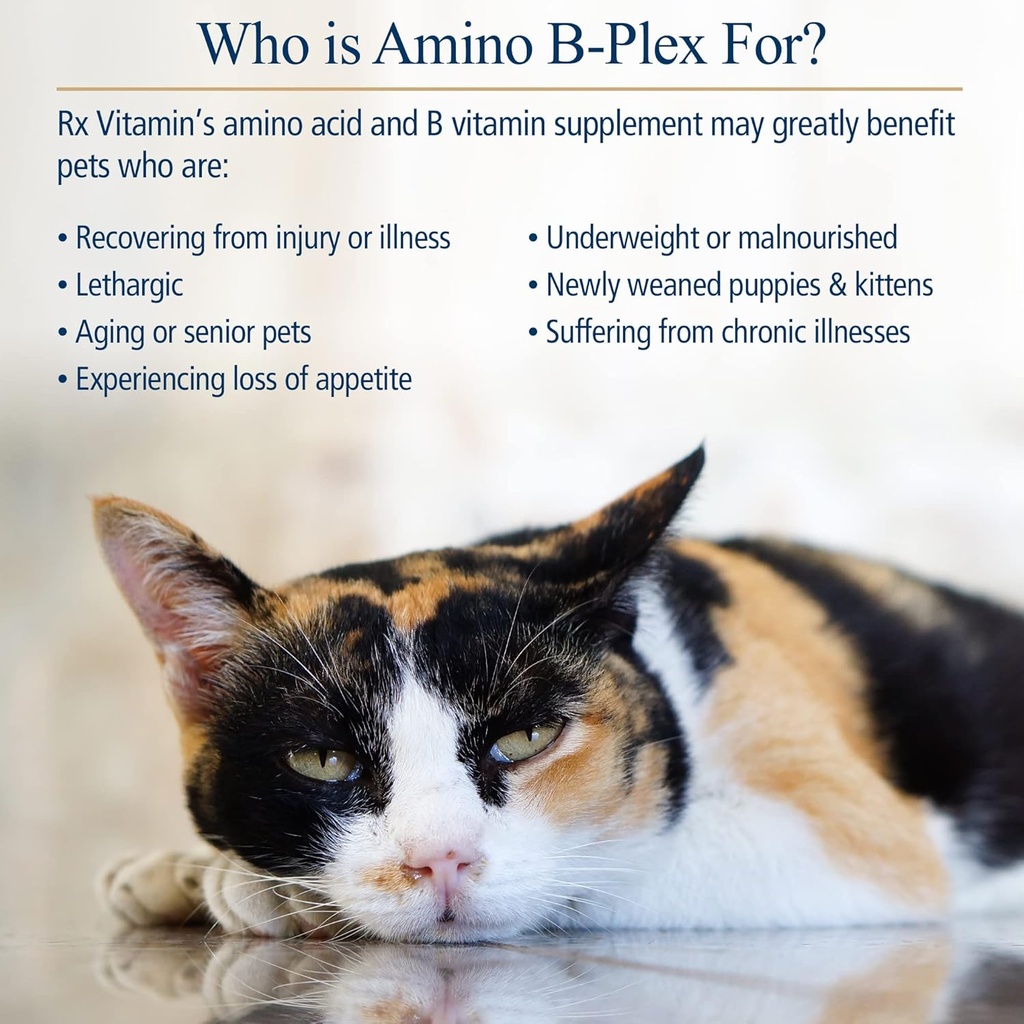 rx-vitamins-amino-b-plex-for-pets---b-vi-3.jpg