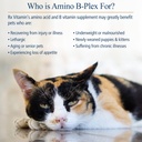 rx-vitamins-amino-b-plex-for-pets---b-vi-3.jpg