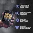 alpha-lion-core-pre-workout-wcreatine-fo-2.jpg