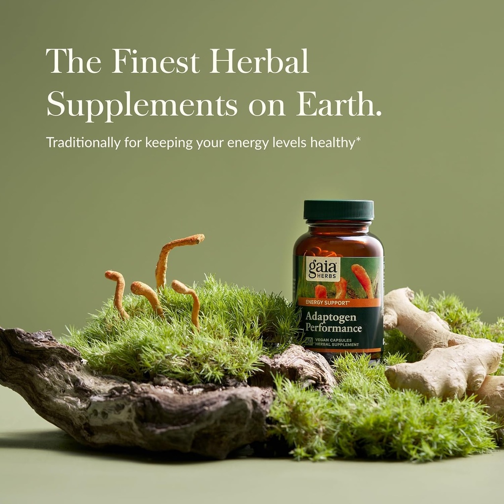 gaia-herbs-adaptogen-performance-mushroo-2.jpg