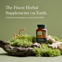 gaia-herbs-adaptogen-performance-mushroo-2.jpg