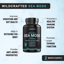 certified-organic-sea-moss-capsules-2250-5.jpg