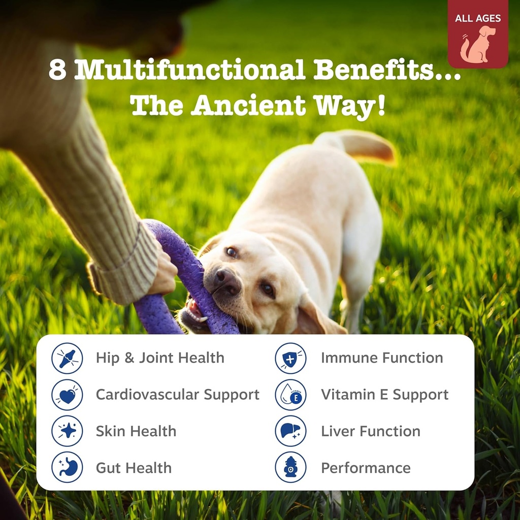 zesty-paws-dog-multivitamin-chewable-dog-2.jpg