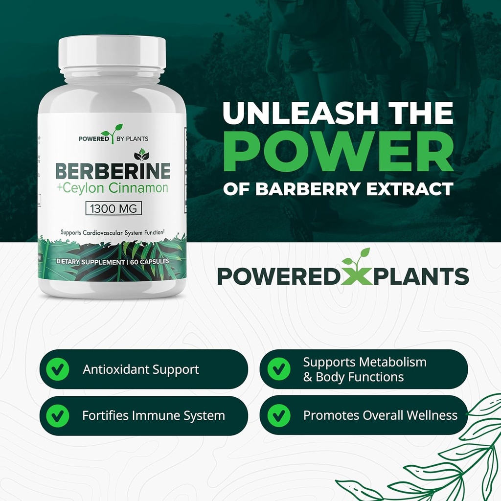 pure-berberine-supplement---1300mg-berbe-3.jpg