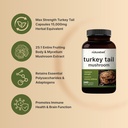 naturebell-turkey-tail-mushroom-capsules-3.jpg