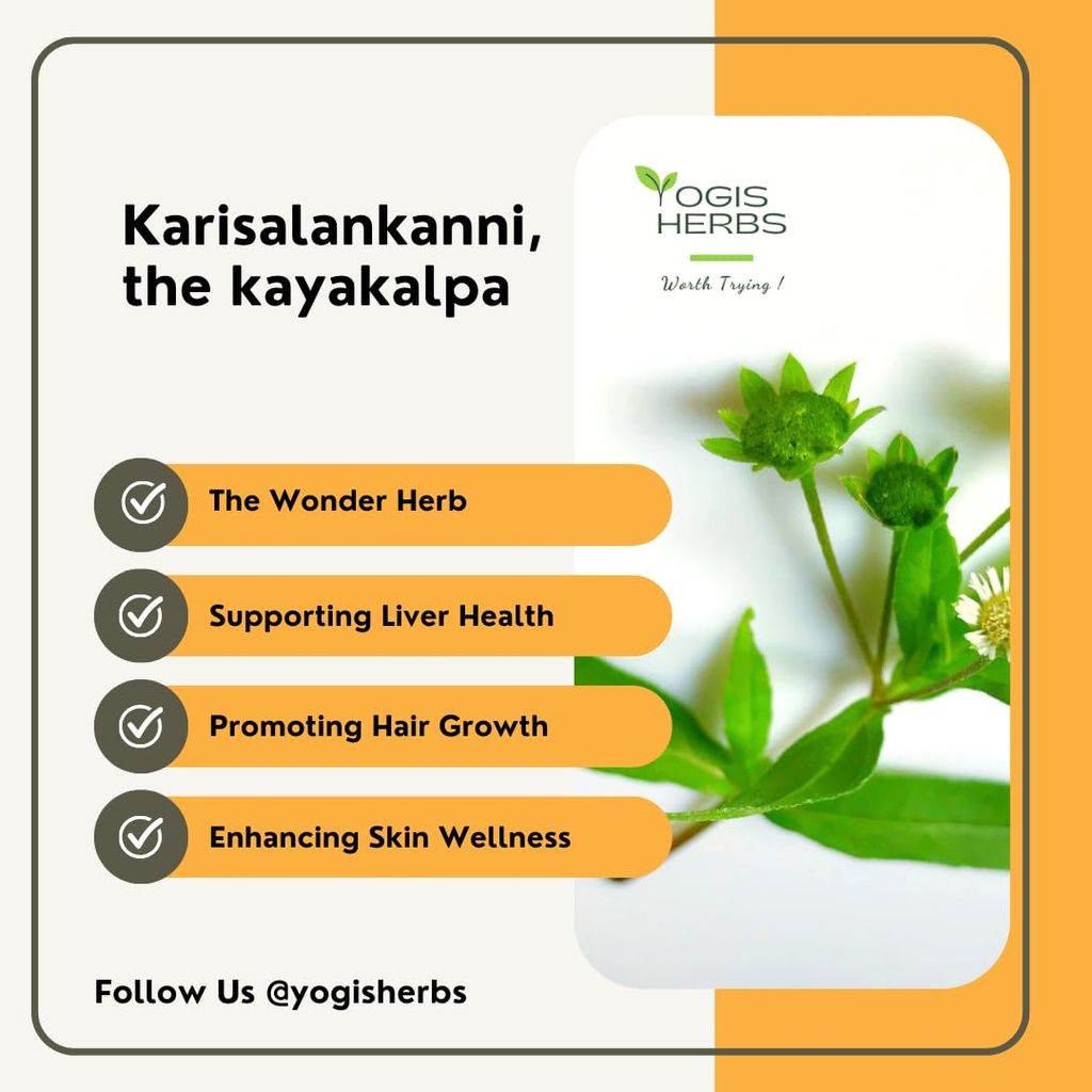 yogis-herbs-yogis-herbs-karisalankanni-p-3.jpg