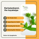yogis-herbs-yogis-herbs-karisalankanni-p-3.jpg