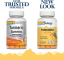 solaray-turmeric-gummies-wginger-healthy-2.jpg