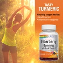 solaray-turmeric-gummies-wginger-healthy-4.jpg