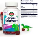 kal-jurassic-elderberry-kids-gummies-hea-2.jpg