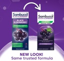 sambucol-sugar-free-black-elderberry-syr-2.jpg